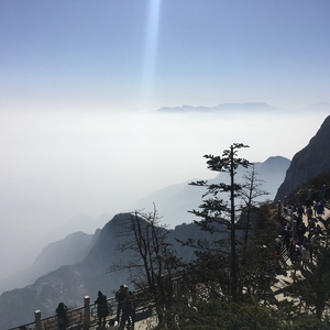 free性暴力強奸HD
