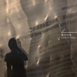 free性暴力強奸HD
